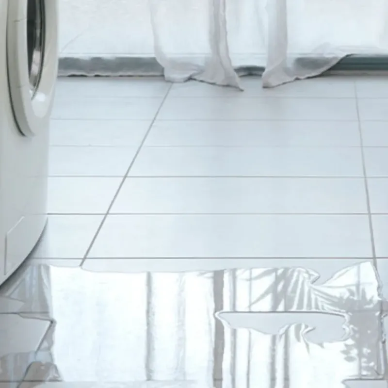 Appliance Leak Cleanup in Citronelle, AL