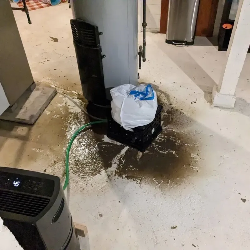 Sewage Backup Cleanup Service in Citronelle, AL